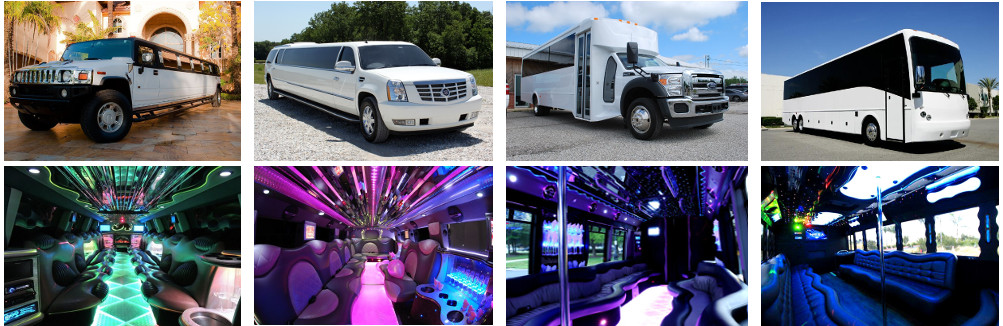 limo party bus rental